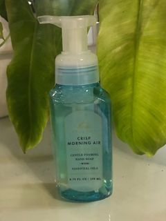 🌱Authentic White Barn Bath & Body Works Crisp Morning Air Gentle Foaming Hand Soap With Essential Oils