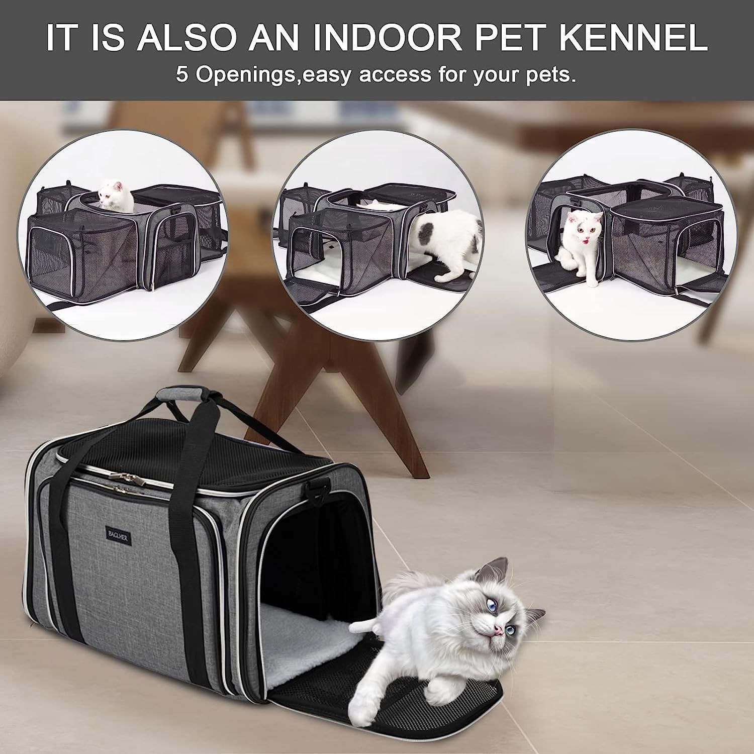 BAGLHER Pet Travel Carrier, Airline Approved Cat Carriers, Dog  Carrier,Suitable for Small and Medium-Sized Cats and Dogs Pet Soft Carrier,  Suitable