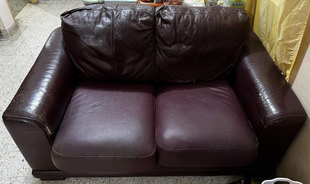 Buffalo store leather couch
