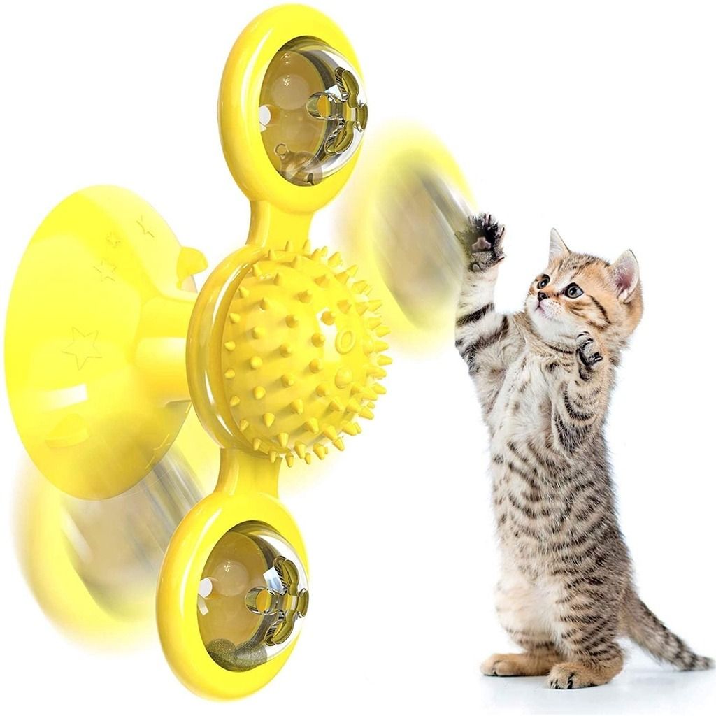 Cat 2025 toys 2019