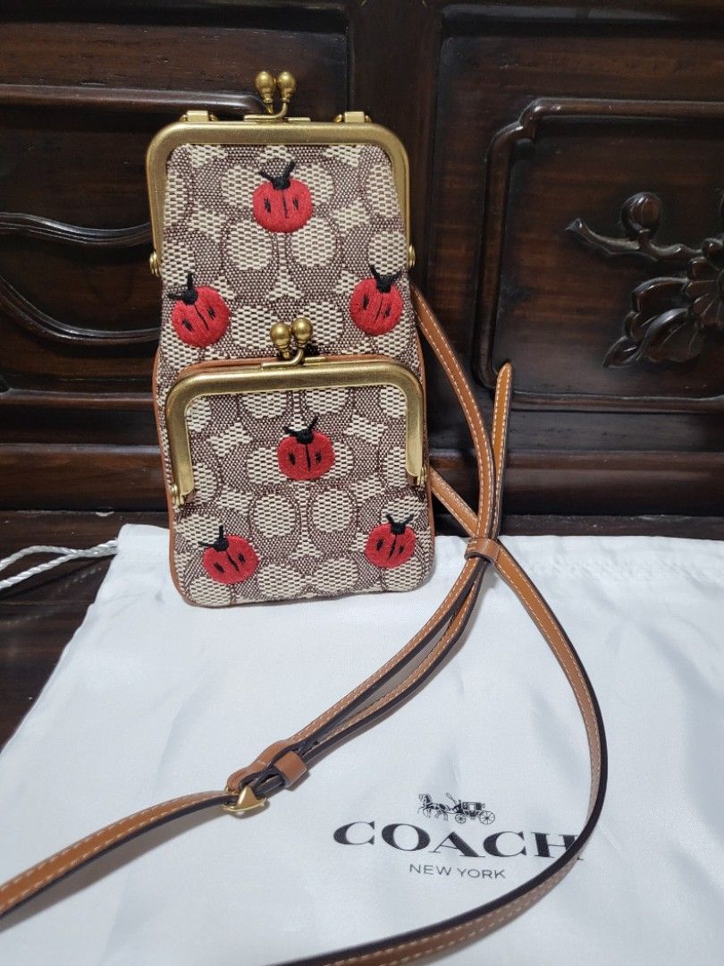 Double frame hotsell crossbody 12