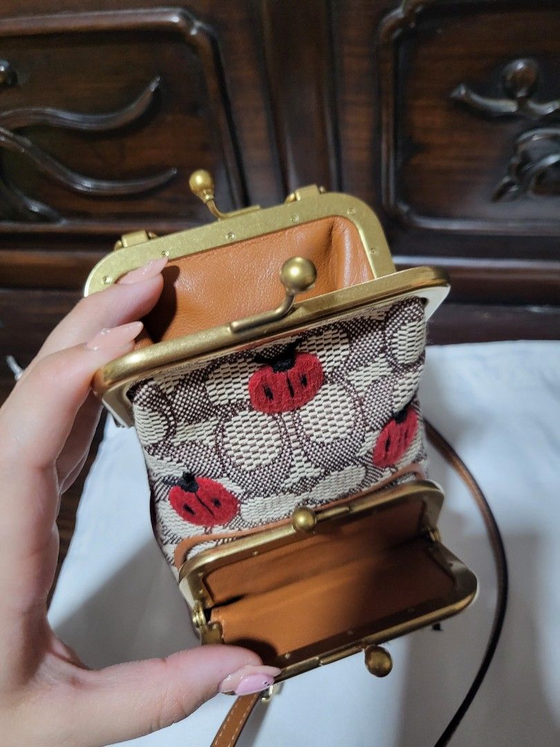 Coach double frame discount crossbody