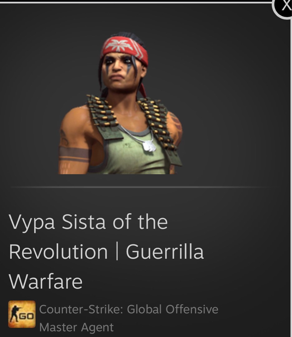 CSGO Master Agent Vype Sista of the Revolution, Video Gaming, Gaming