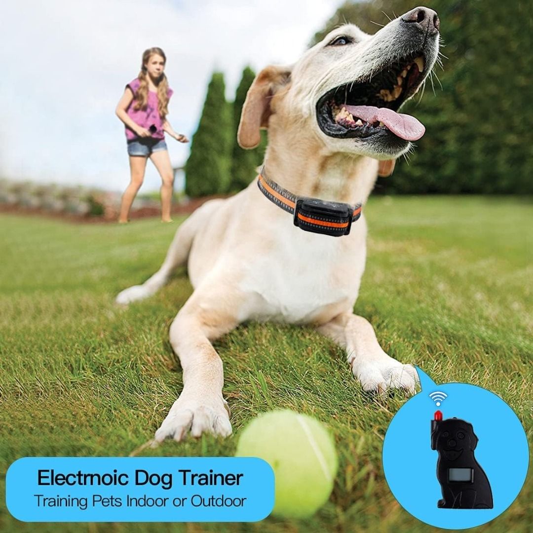 Electric boundary sales collar for dogs