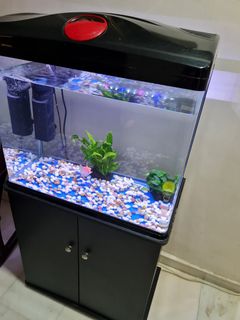 (Category: ) located in . Submitted by ajitesh_8 (Listing ID 1240251913, Image 1). Description: .