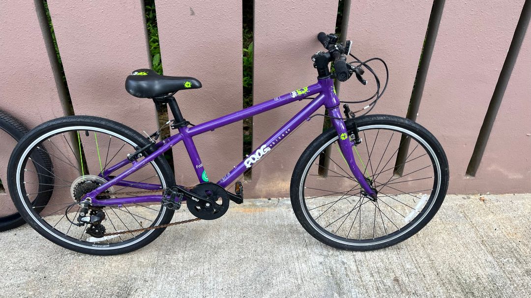 Frog bike top 62 purple