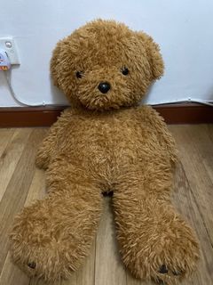 Giant Bear