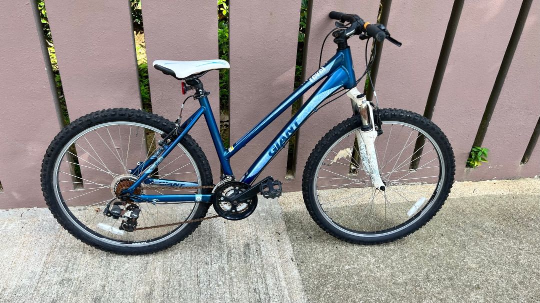 Ladies Mountain Bike Sports Equipment Bicycles Parts Bicycles