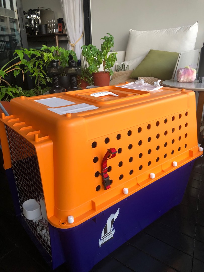 PP50 dog crate airline approved, Pet Supplies, Homes & Other Pet Accessories on Carousell