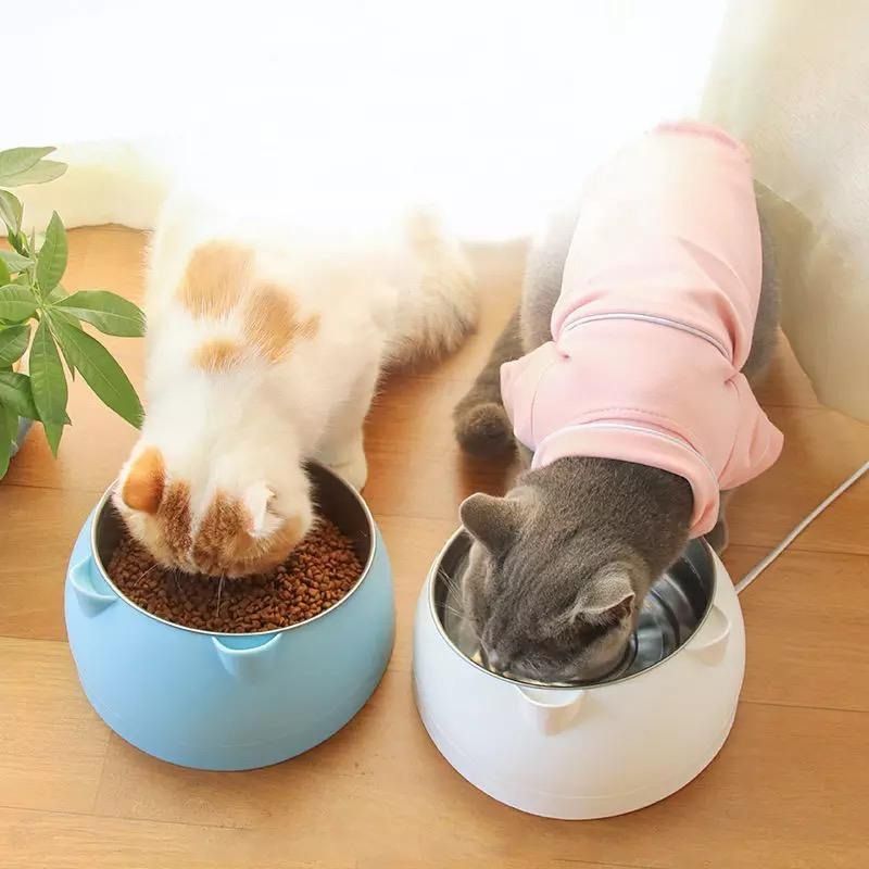 Elevated cat bowls sales