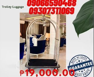 Silver Color Luggage For Sale