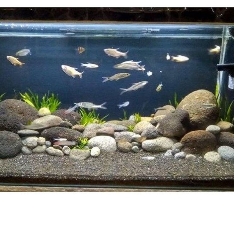 Aquarium pebbles stones shop
