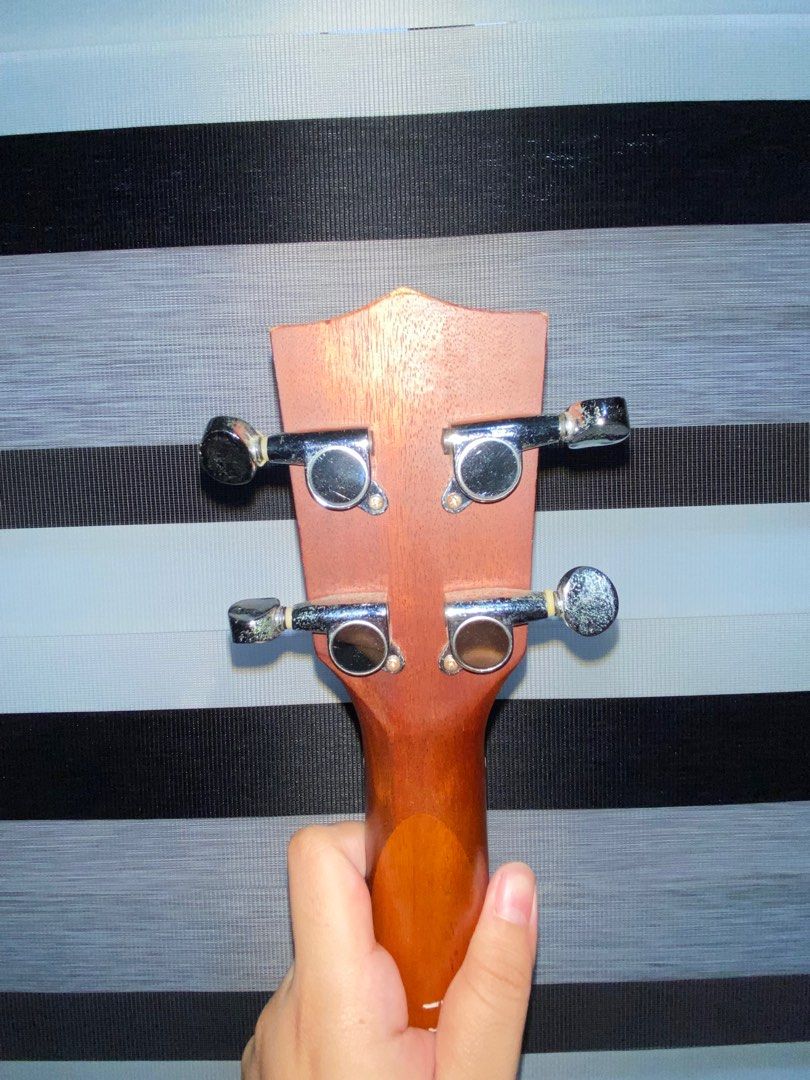 UKULELE KALA BRAND on Carousell