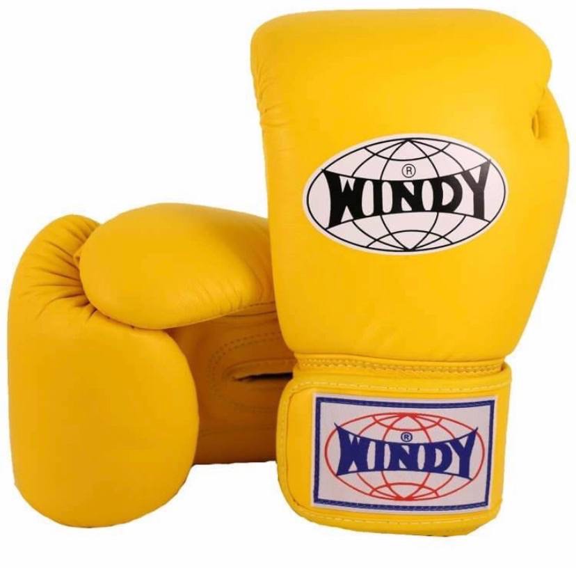 Windy 14oz Boxing Gloves, Sports Equipment, Other Sports Equipment and