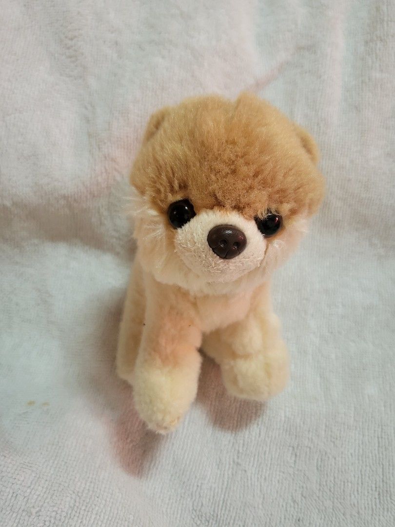Pomeranian boo deals mini toy