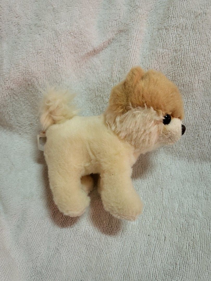 Pomeranian beanie boo on sale