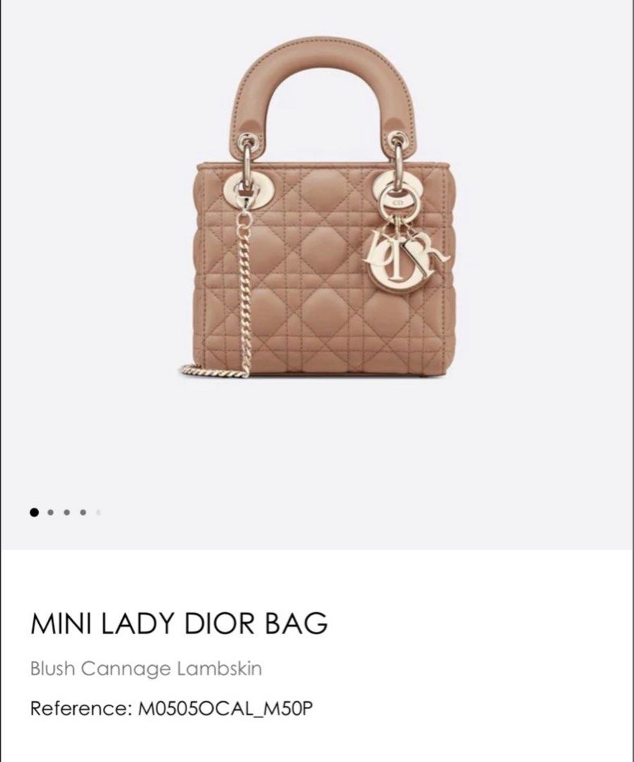 Full Set Lady Dior Mini Luxury Bags Wallets on Carousell