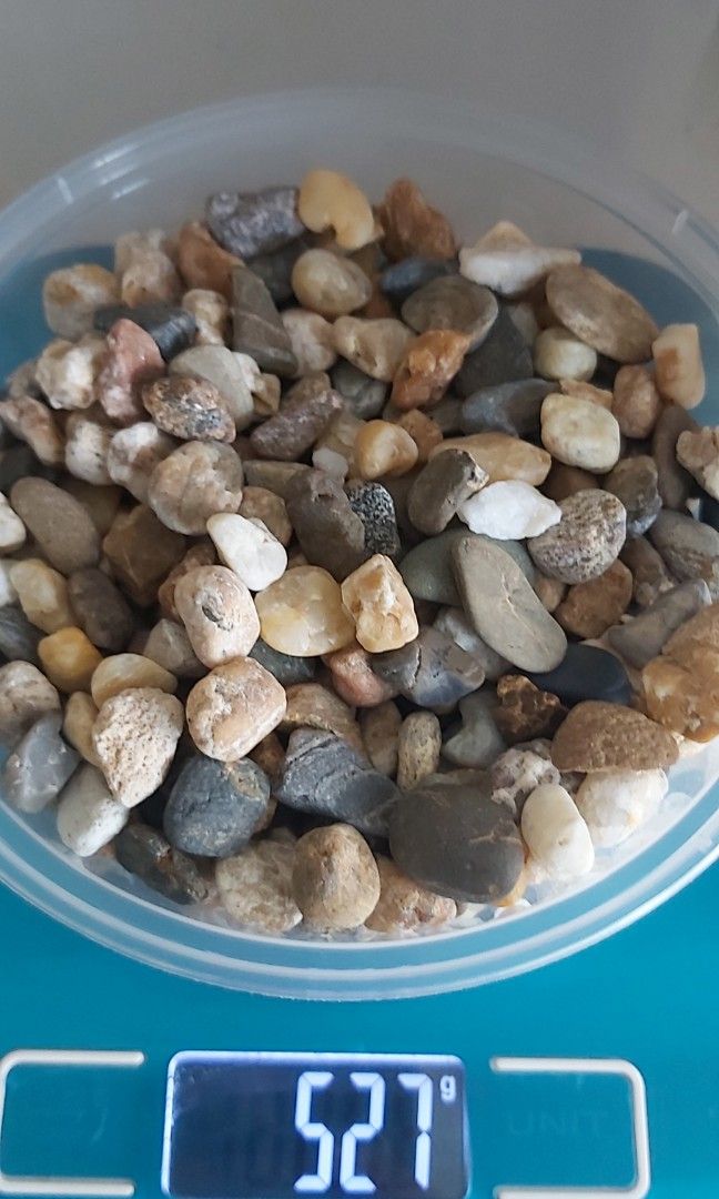 GEX Fish Tank Set (Free gravels), Pet Supplies, Homes & Other Pet