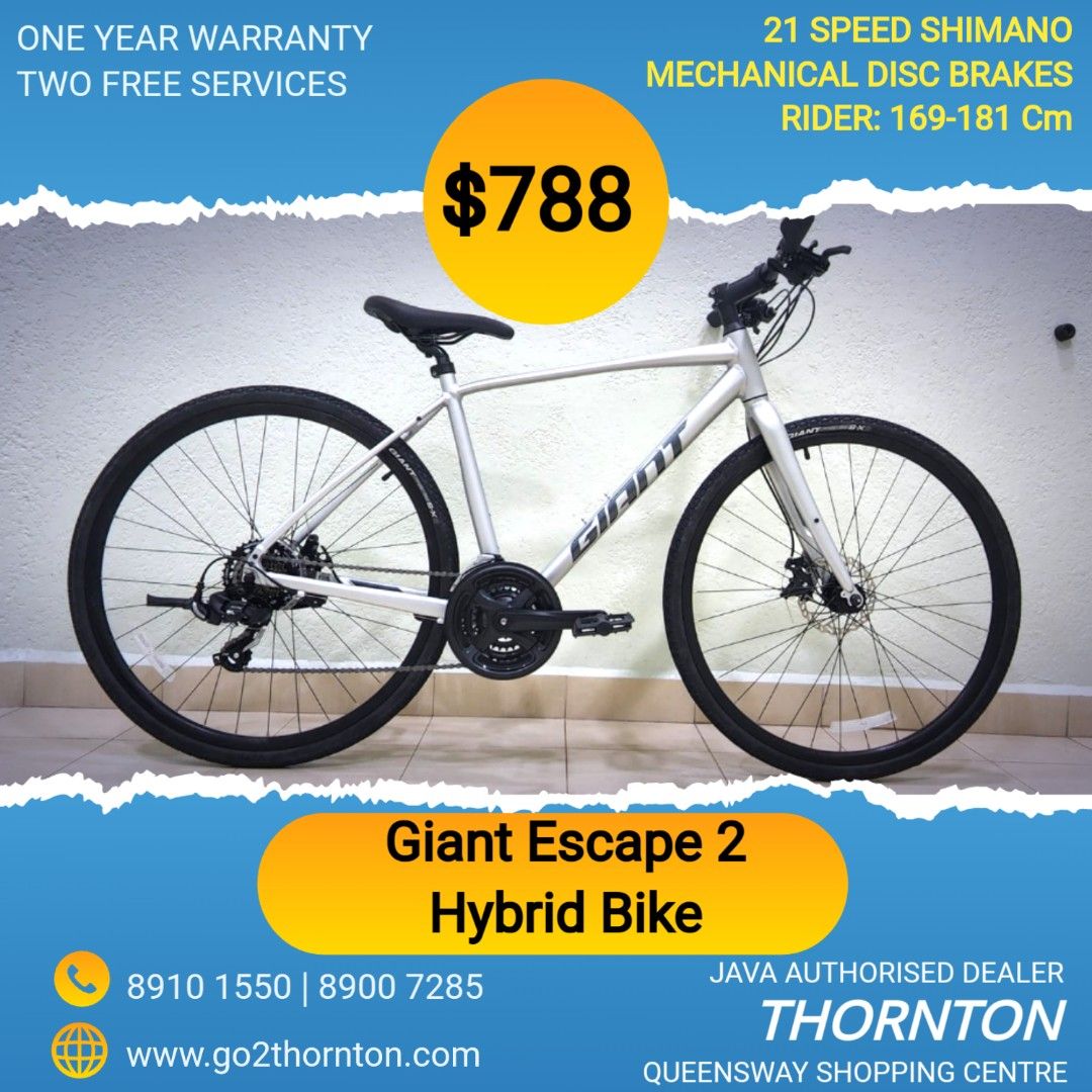 Giant 21 2025 speed hybrid bike