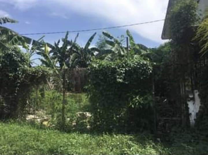 GREEN PARK VILLAGE CAINTA RIZAL 200SQM, Property, For Sale, Lot on