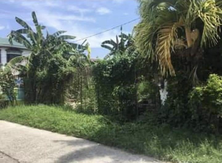 GREEN PARK VILLAGE CAINTA RIZAL 200SQM, Property, For Sale, Lot on