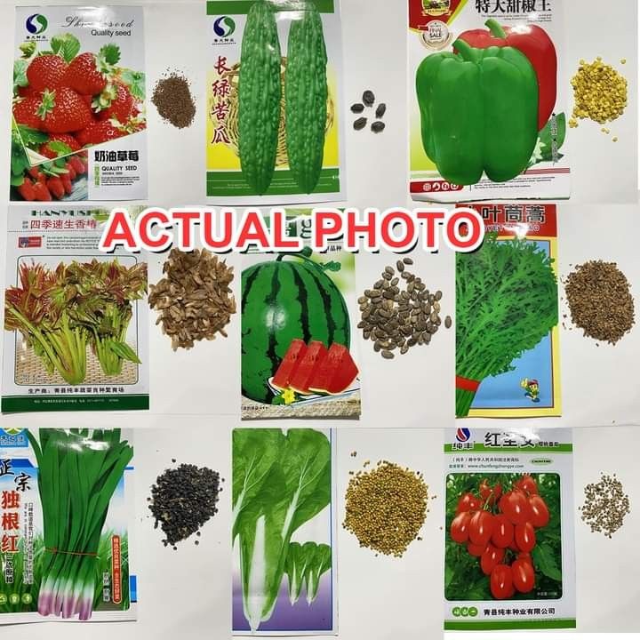 (Hybrid Fruits and Vegetable Seeds, Furniture & Home Living, Gardening