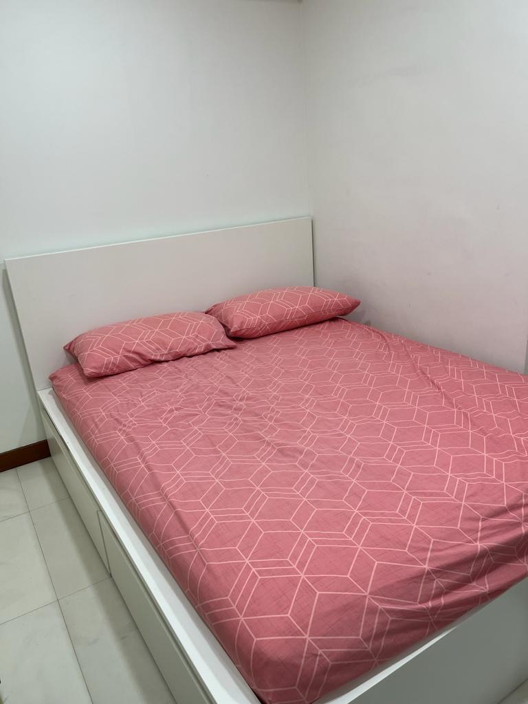 IKEA Malm Queen Bed Frame with 4 storage drawers and mattress