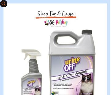 Urine off best sale cat spray