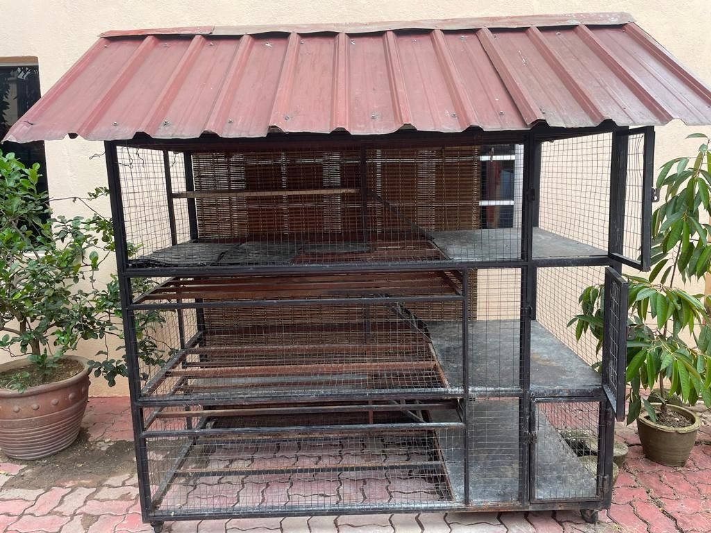 Custom made cat online cage