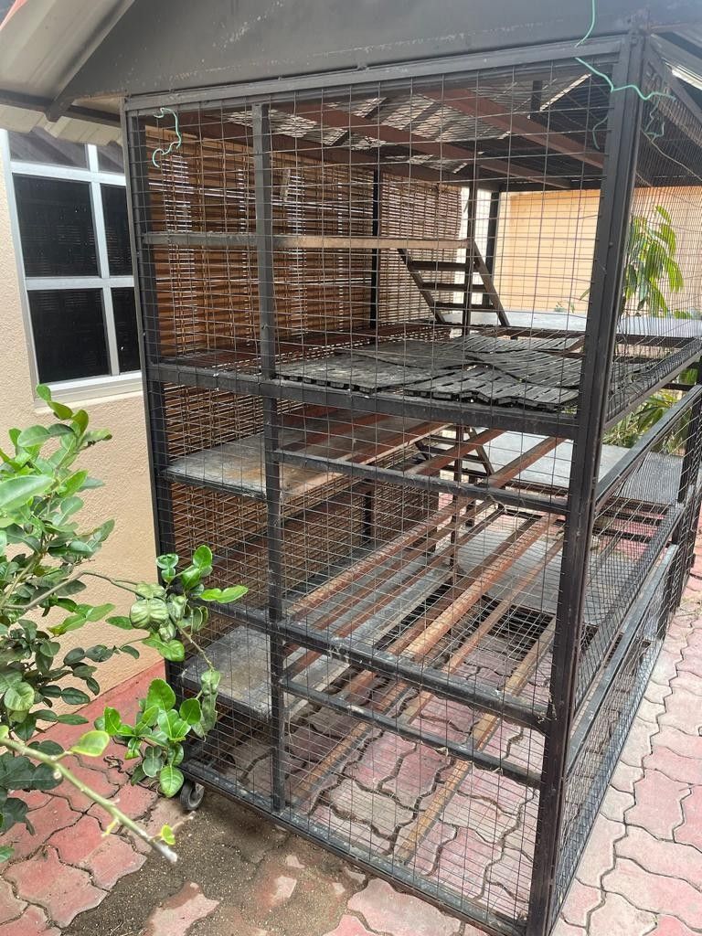 Custom made deals cat cage