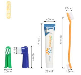 TOOTHPASTE AND TOOTHBRUSH SET FOR PET