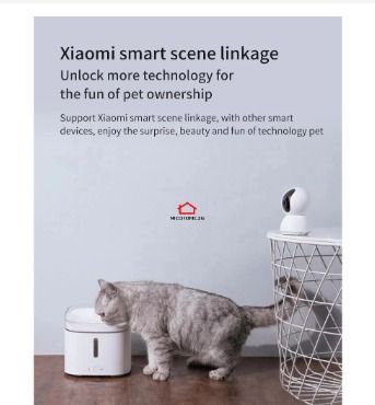 Xiaomi mijia kitten puppy pet 2025 water dispenser