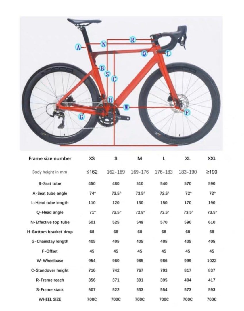 Java Vesuvio Carbon Java Bicycle Size Chart Java Road Java Bicycle