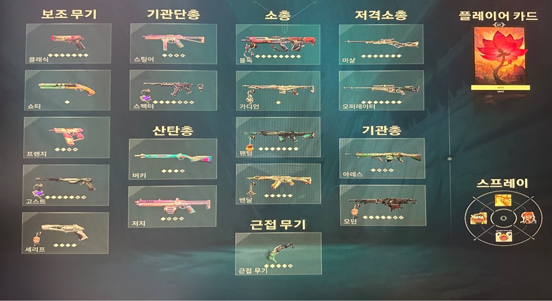 21 Premium Skins Stack Valorant Account!!! (3 Knives), Video Gaming