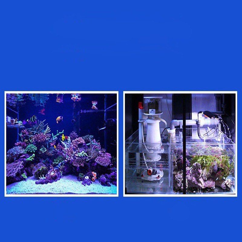 Bubble magus bm curve 5 skimmer saltwater aquarium marine pump, Pet