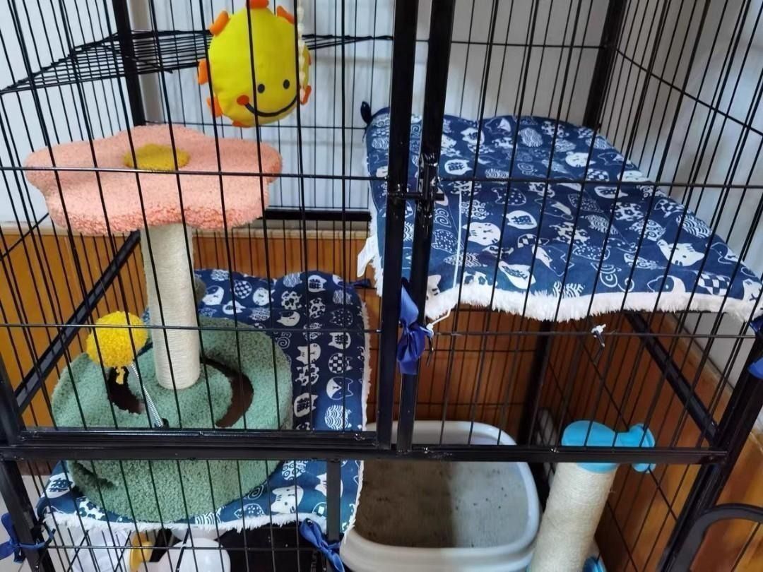 Cat carrier mat hot sale