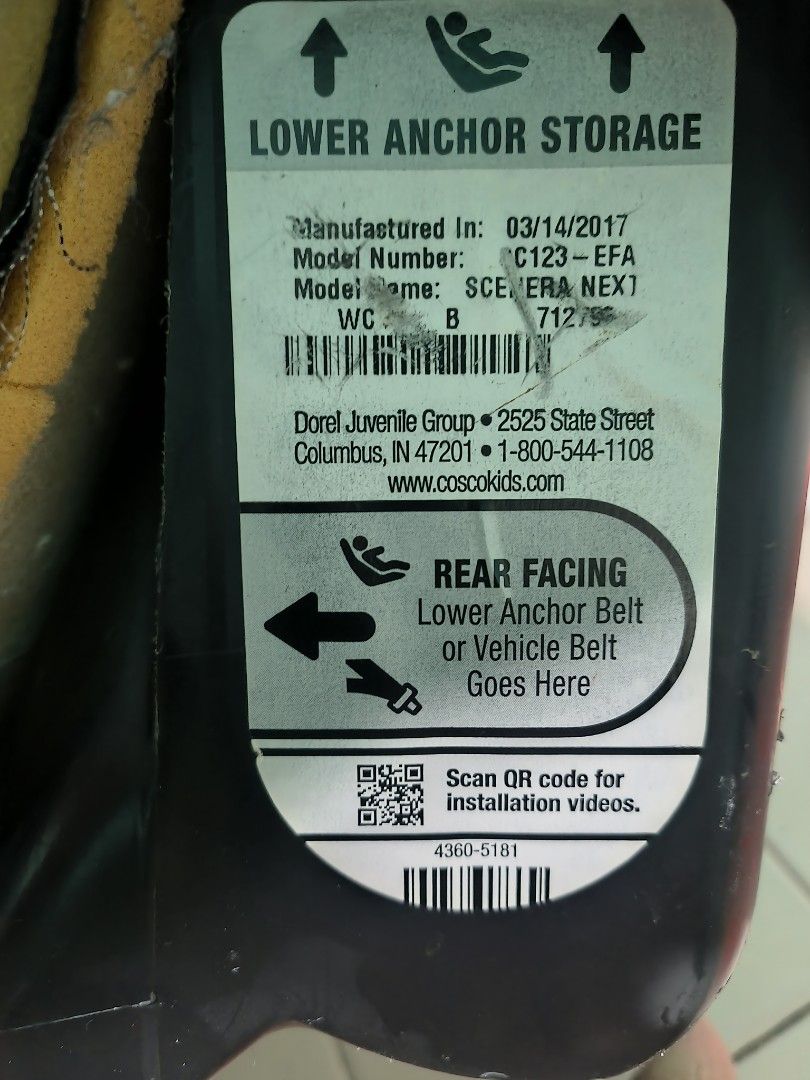 Dorel juvenile group car seat costco discount