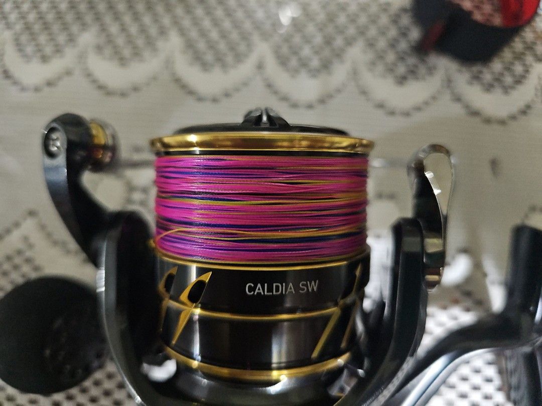 Daiwa Caldia SW 6000, Sports Equipment, Fishing on Carousell