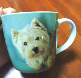 (Category: ) located in . Submitted by happyhappy (Listing ID 1241928114, Image 1). Description: .