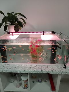 (Category: ) located in . Submitted by auntydorislim (Listing ID 1242139261, Image 1). Description: .