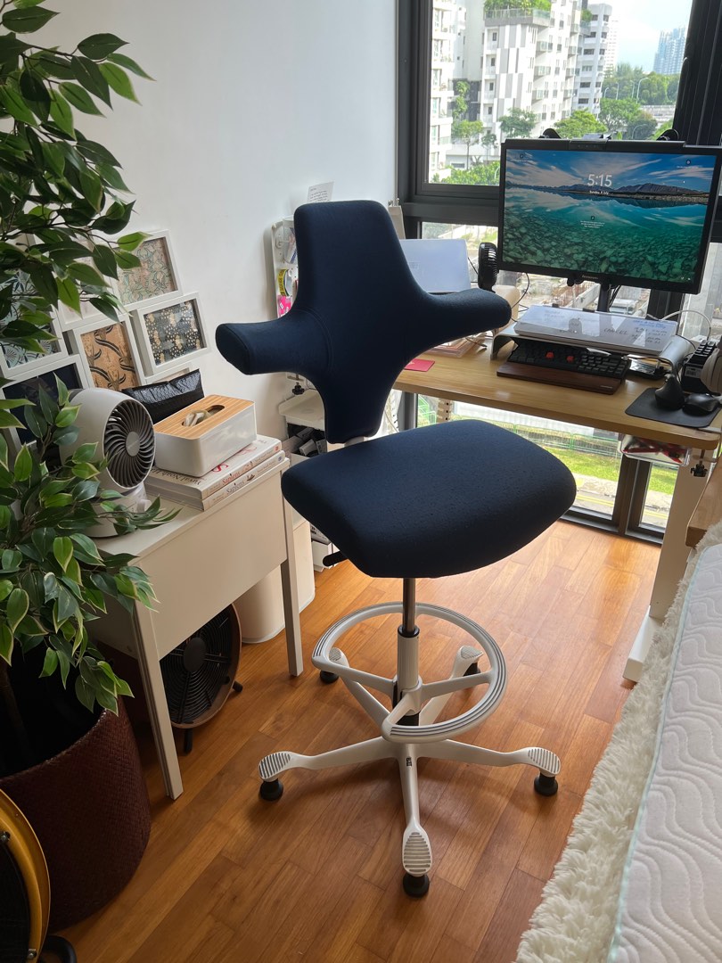 Hag capisco hot sale chair used
