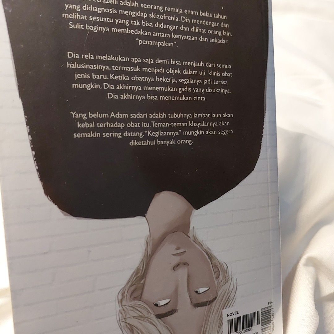 julia walton words on the bathroom walls on Carousell