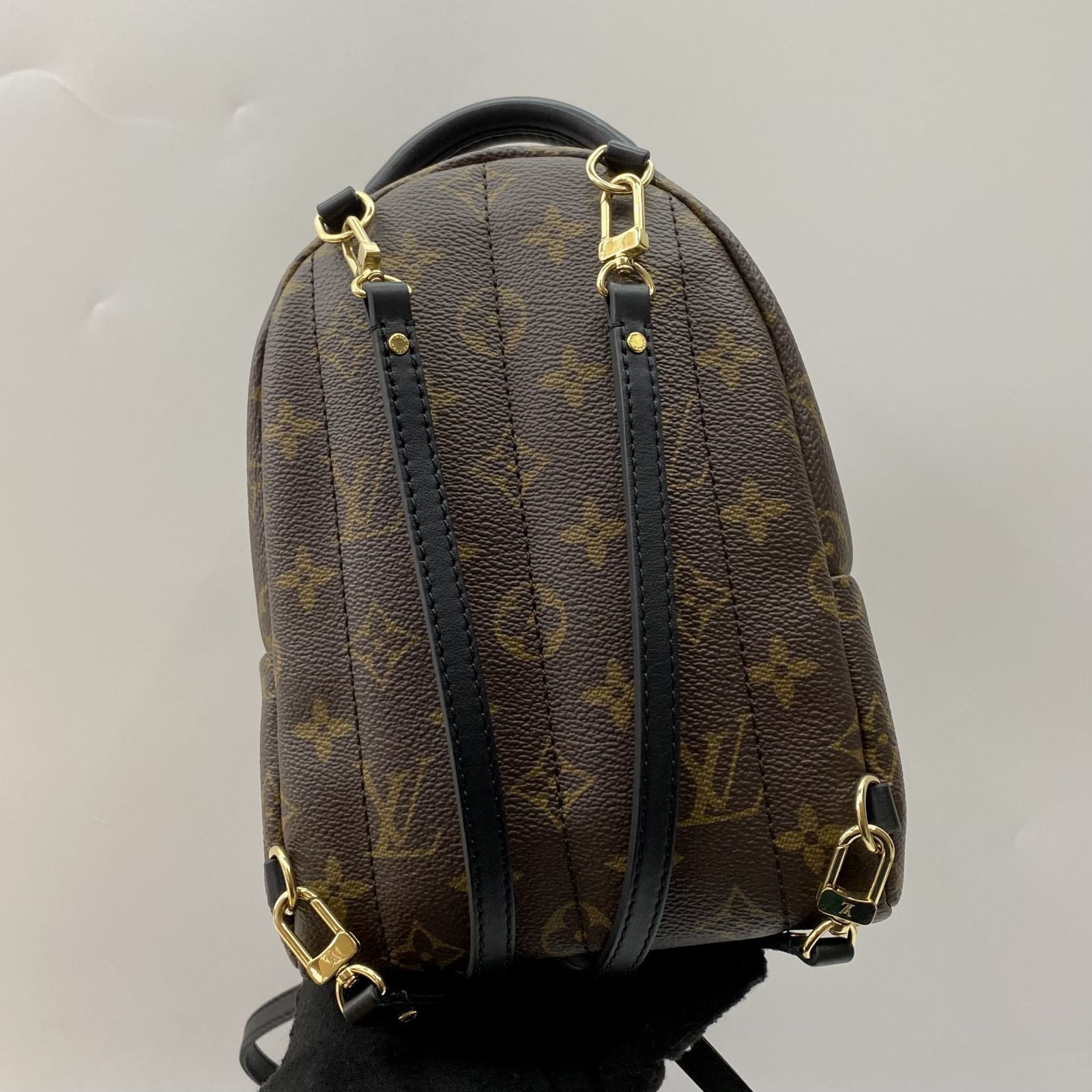 Louis Vuitton Palm Springs Backpack Mini M41562– TC