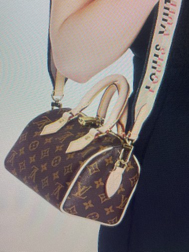 Louis Vuitton Speedy Bandouliere 20, Luxury, Bags & Wallets on Carousell