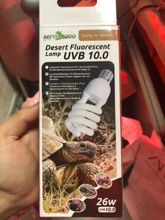 （分類：）位於 。 由 boron01 提交（商品編號 1242010363，圖片 1）。簡介： 。