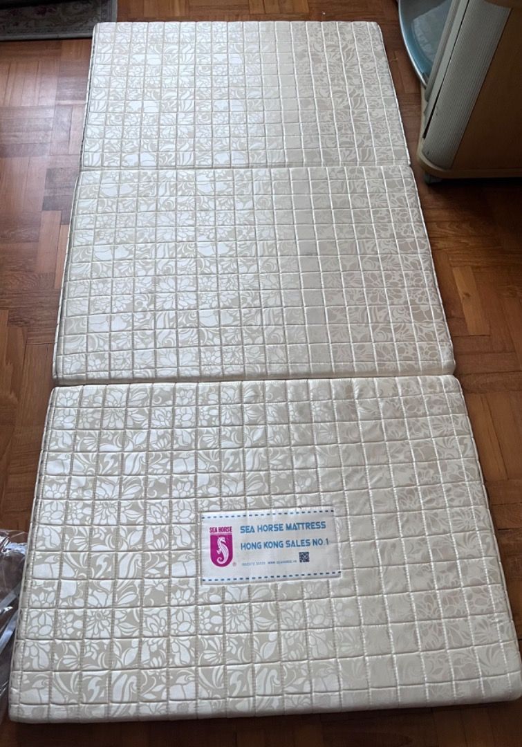 seahorse_3fold_foldable_foam_m_1688899017_2fbe7a8b_progressive