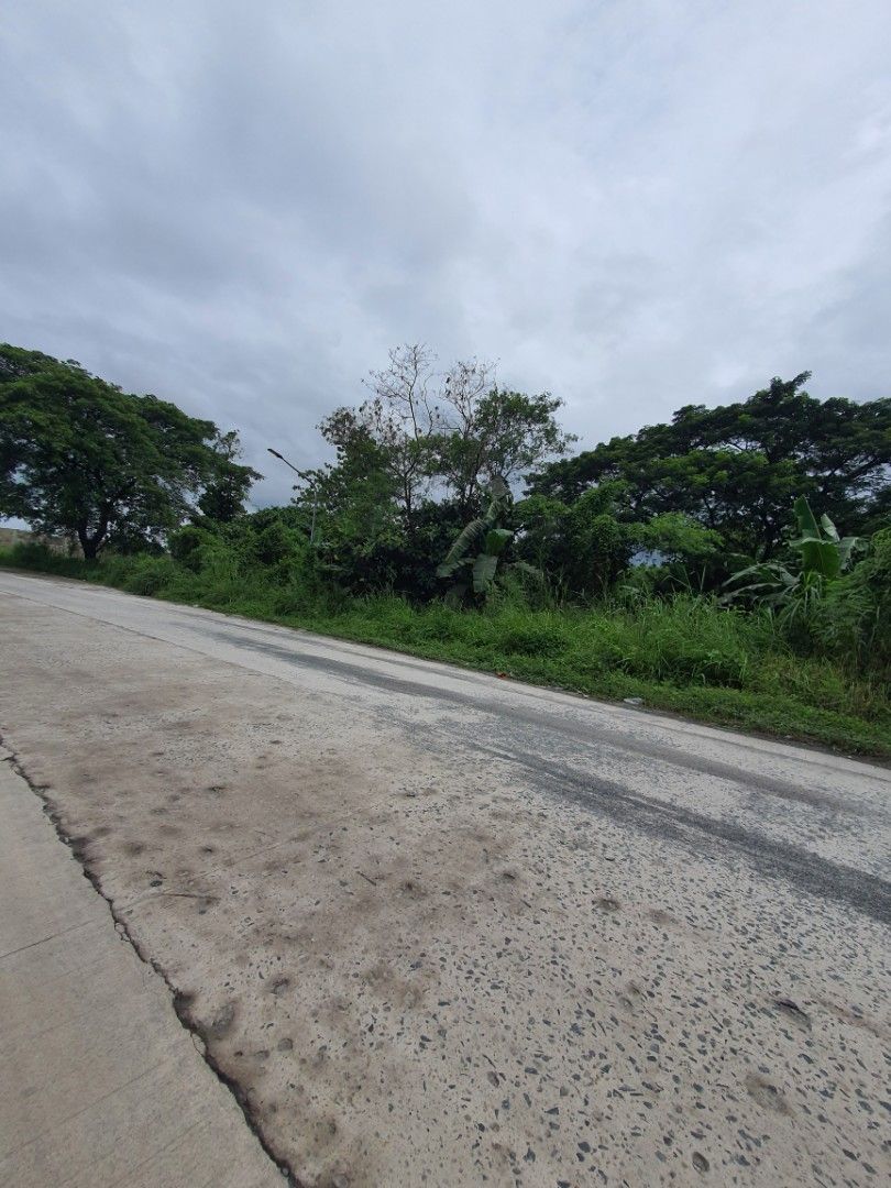 2 hectare land for sale in Capas Tarlac near New Clark city on Carousell