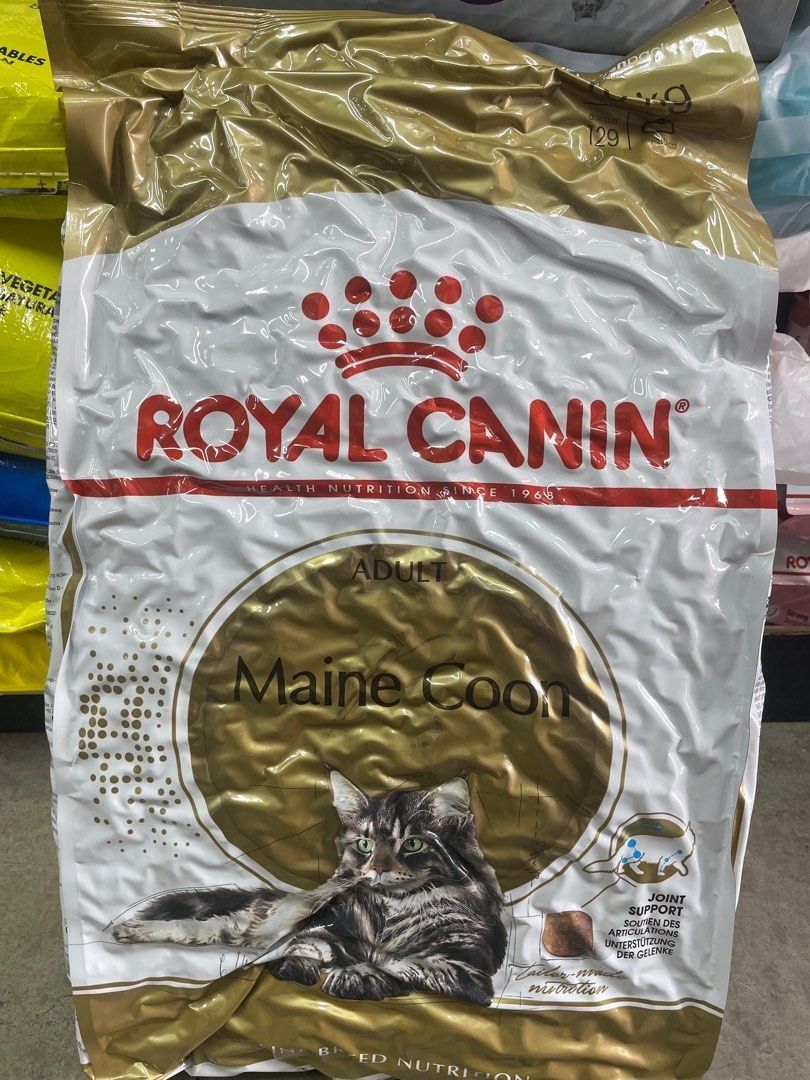 Royal canin kitten maine coon 10kg top
