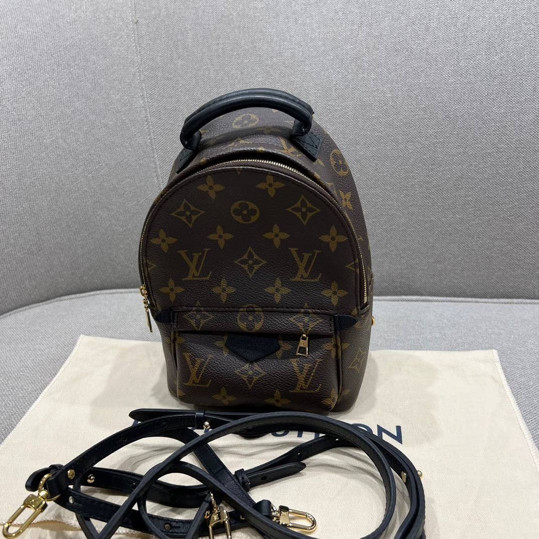 Louis Vuitton palm spring mini, Luxury, Bags & Wallets on Carousell
