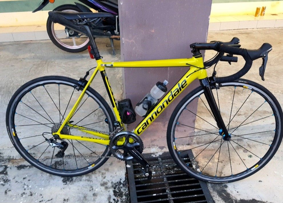 Caad12 2025 dura ace